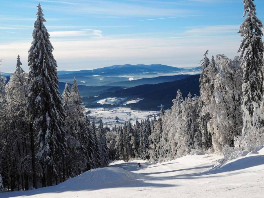 Bayerwald Chalet Kaitersberg Mit Sauna, Sonnenterrasse Und Garten อาร์นบรุค ภายนอก รูปภาพ